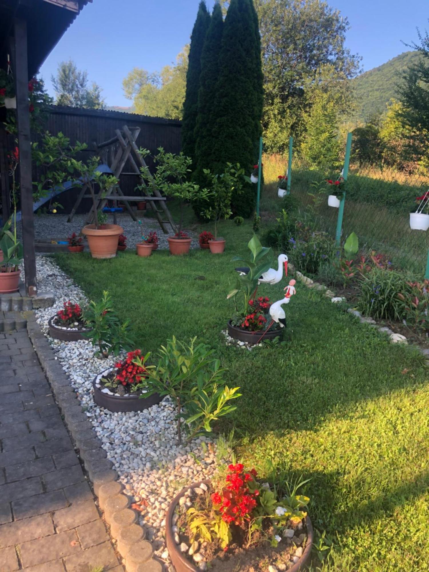 Pensiunea Casa Cu Flori Cisnadioara Exterior photo